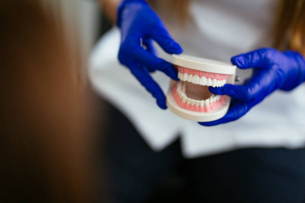 Best Preventive Dentistry  in Mundelein, IL