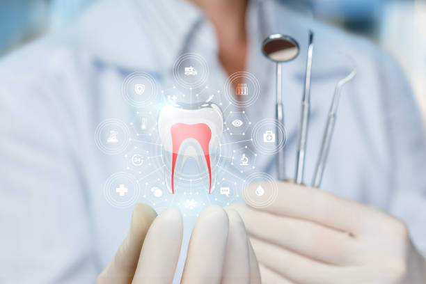 Best Dental X-Rays and Imaging  in Mundelein, IL